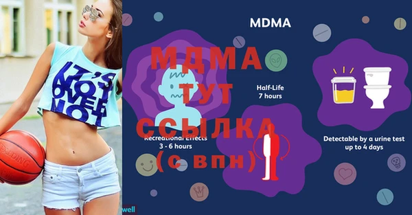 сатива Ельня