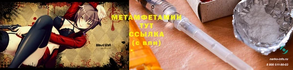 сатива Ельня