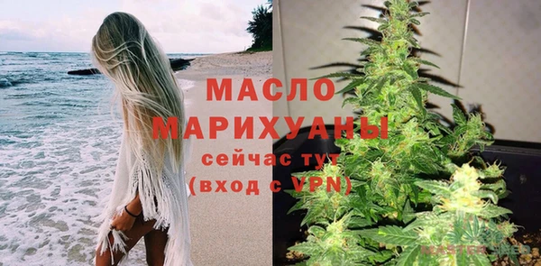 сатива Ельня