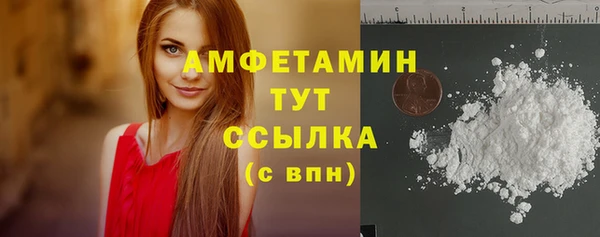 сатива Ельня
