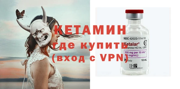 сатива Ельня