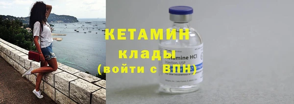 сатива Ельня