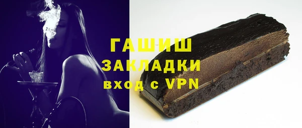 сатива Ельня