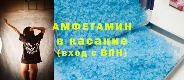 сатива Ельня
