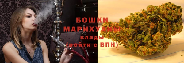 сатива Ельня