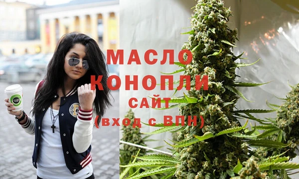 сатива Ельня