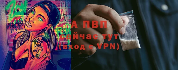 твердый Елизово