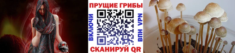 Галлюциногенные грибы MAGIC MUSHROOMS  OMG ONION  Нытва 